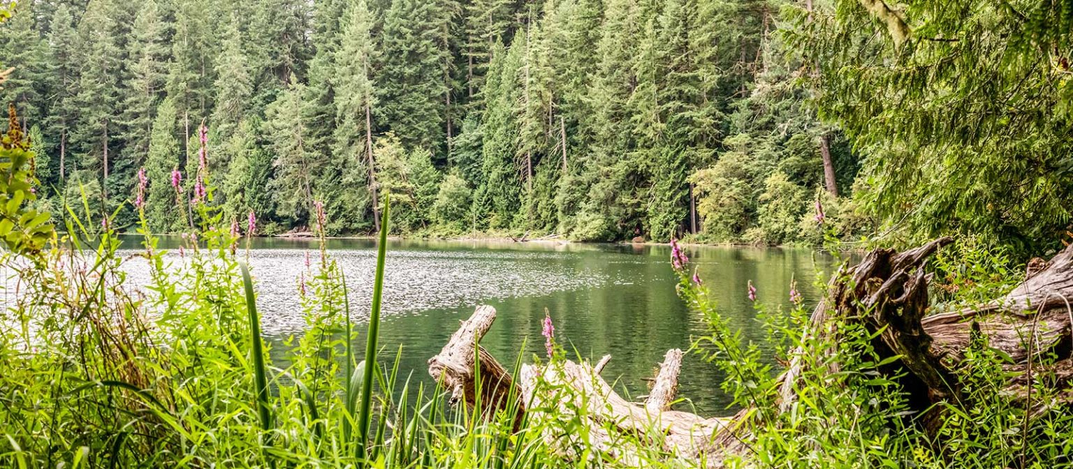 Weather in battle ground wa