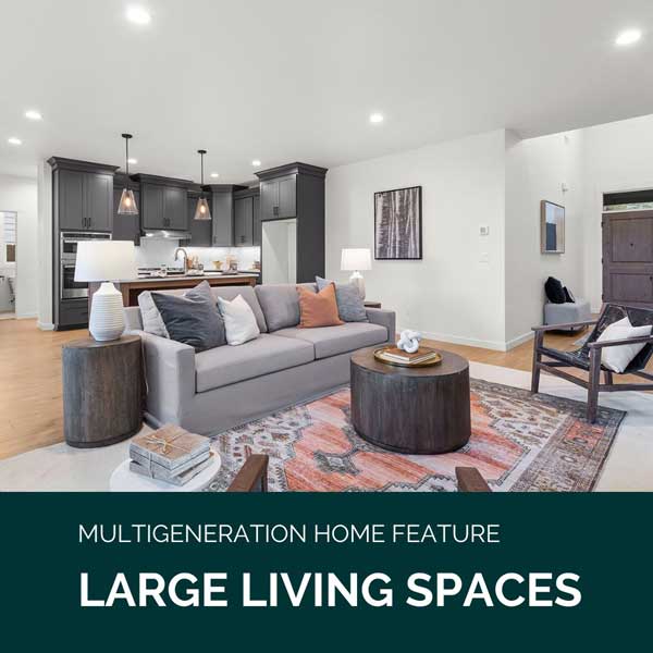 Large Living Spaces